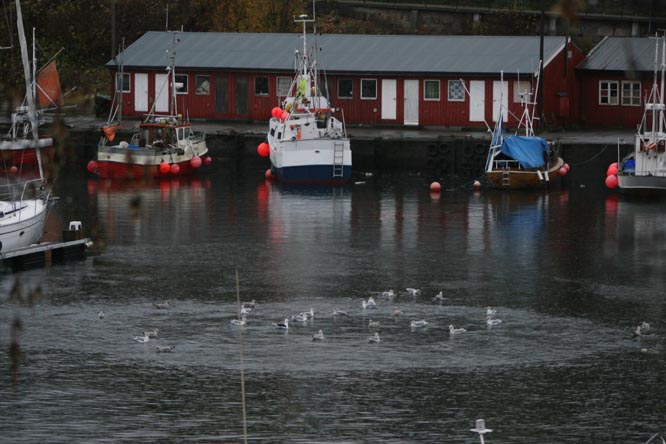 regn__kloakk regn__kloakk